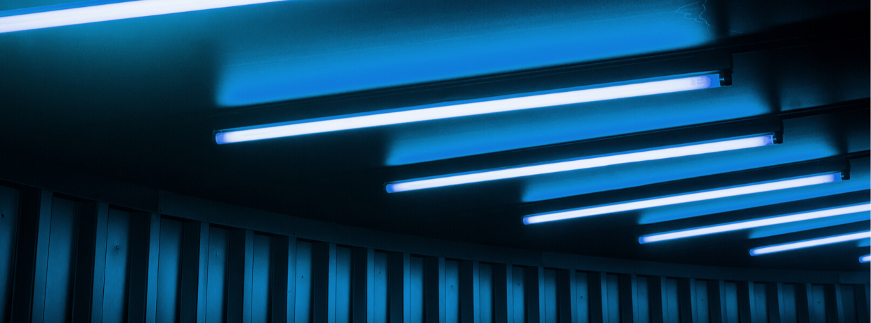 Fluorescent